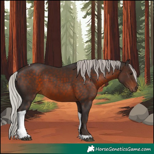 Horse Color:Silver Brown Tobiano