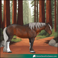Horse Color:Silver Brown Tobiano 