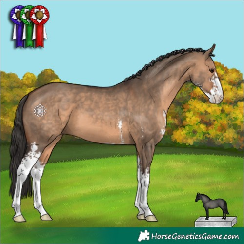 Horse Color:Brown Dun Sabino 