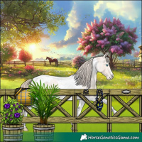 Horse Color:Perlino Tobiano Blanket 