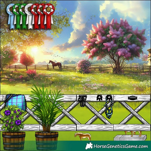 Horse Color:Buckskin Appaloosa 