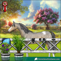Horse Color:Buckskin Snowcap 
