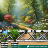 Horse Color:Brown Appaloosa 