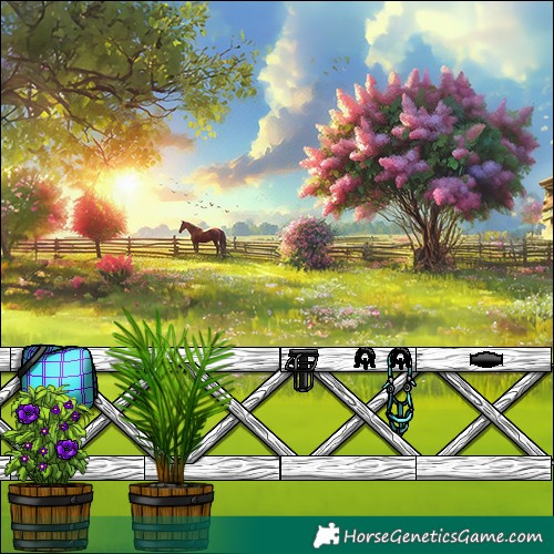 Horse Color:Brown Tobiano Appaloosa 