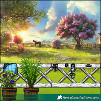 Horse Color:Brown Tobiano Blanket 