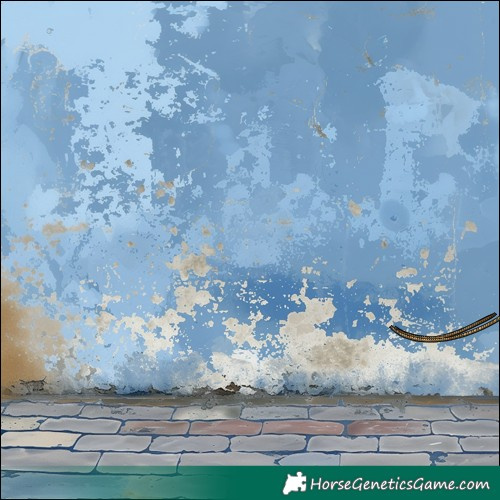 Horse Color:White Spotted Brown Rabicano 