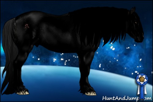 Horse Color:Void White Spotted Brown Dun Splash Varnish