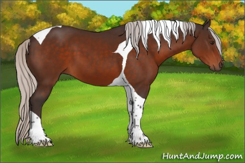 Horse Color:Silver Brown Tobiano 