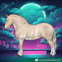 Horse Color:Palomino Sabino Appaloosa Rabicano