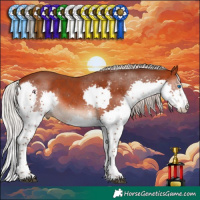 Horse Color:White Spotted Silver Brown Splash 