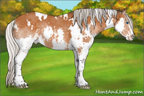 Horse Color:White Spotted Silver Buckskin Sabino Splash Rabicano 