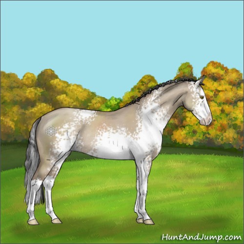 Horse Color:White Spotted Classic Champagne Dun Splash Rabicano
