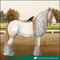 Horse Color:White Spotted Amber Champagne Pearl Dun Rabicano 