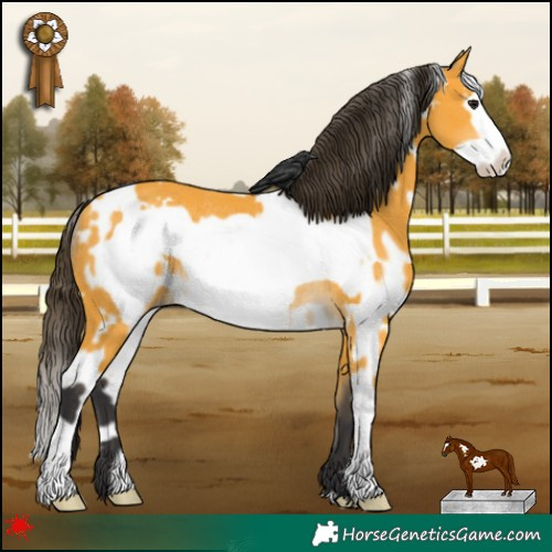Horse Color:White Spotted Buckskin Frame Rabicano 