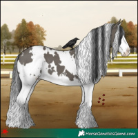 Horse Color:White Spotted Grullo Splash 