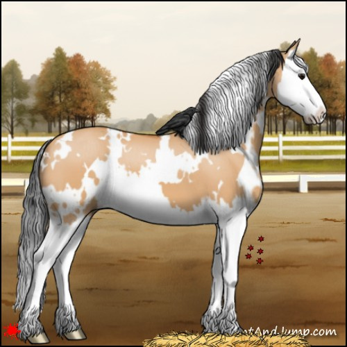 Horse Color:White Spotted Bay Dun Splash 