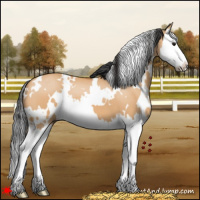 Horse Color:White Spotted Bay Dun Splash 