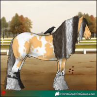 Horse Color:White Spotted Buckskin Dun 