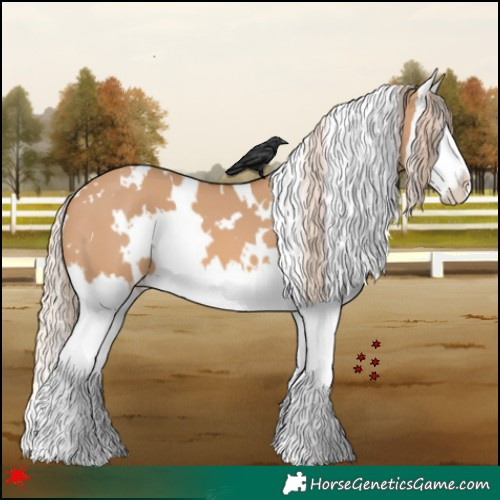 Horse Color:White Spotted Red Dun Splash 