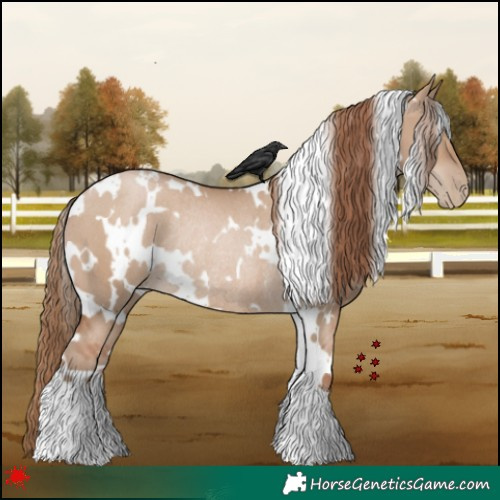 Horse Color:White Spotted Grullo Pearl Rabicano 