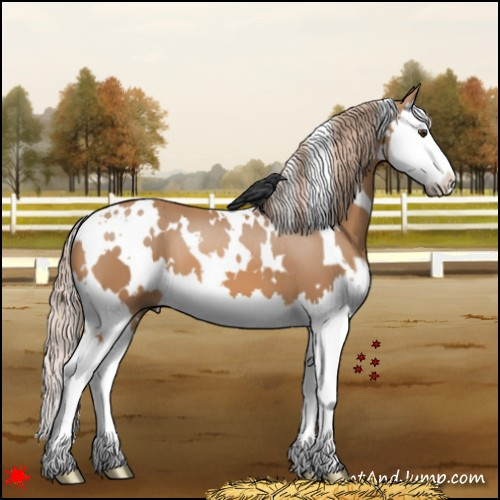 Horse Color:White Spotted Chestnut Splash 