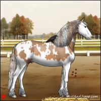 Horse Color:White Spotted Chestnut Splash 