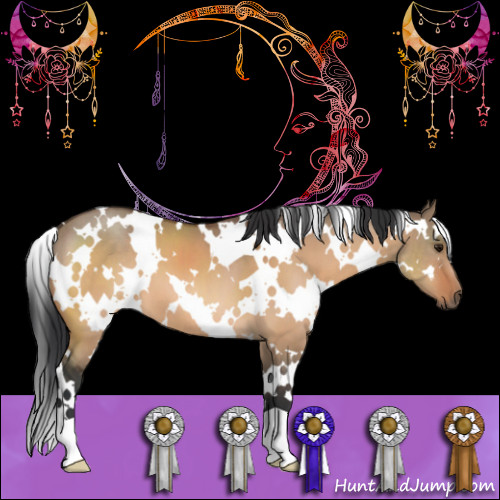 Horse Color:White Spotted Bay Dun