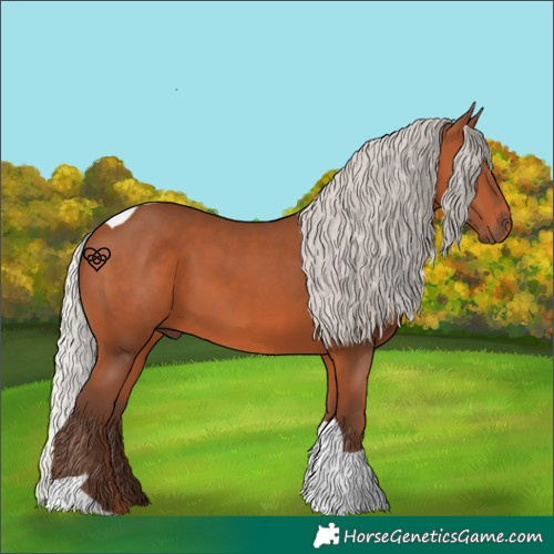 Horse Color:Silver Bay Tobiano