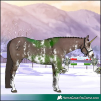 Horse Color:Liver Red Dun Sabino 