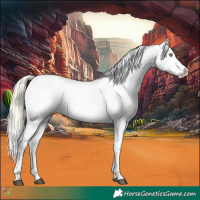 Horse Color:Palomino Near Fewspot  and Palomino Near Fewspot 