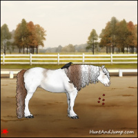 Horse Color:White Spotted Red Dun