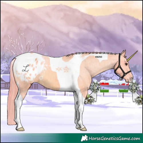 Horse Color:Watercolor Chestnut Tobiano Appaloosa 