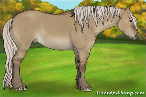 Horse Color:Silver Smoky Grullo 