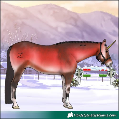 Horse Color:Brown Onyx