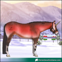 Horse Color:Brown Onyx