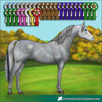 Horse Color:ERROR: UNKNOWN ANOMALY