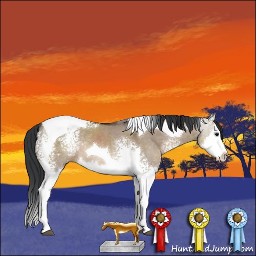 Horse Color:White Spotted Brown Dun Splash Tobiano Rabicano