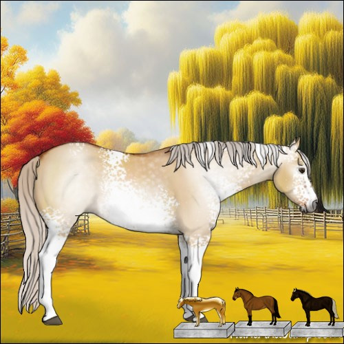 Horse Color:Gray White Spotted Silver Bay Dun Sabino Rabicano
