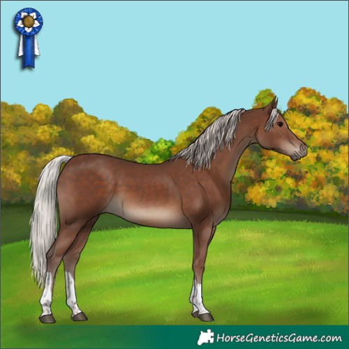 Horse Color:Silver Black Tobiano 