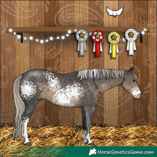 Horse Color:White Spotted Silver Smoky Black Sabino 