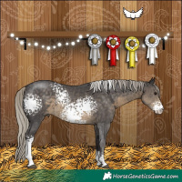 Horse Color:White Spotted Silver Smoky Black Sabino 