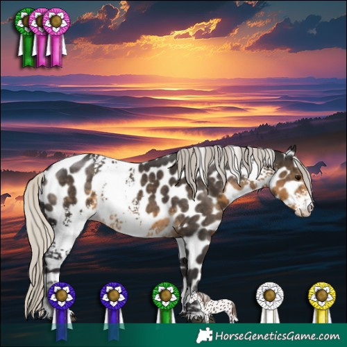 Horse Color:White Spotted Silver Smoky Black Appaloosa 