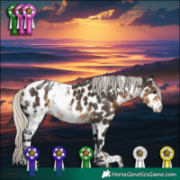 Horse Color:White Spotted Silver Smoky Black Appaloosa 