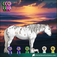 Horse Color:White Spotted Silver Smoky Black Appaloosa 