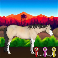 Horse Color:Bay Dun Sabino