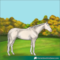 Horse Color:Cremello Splash  and Cremello Splash 