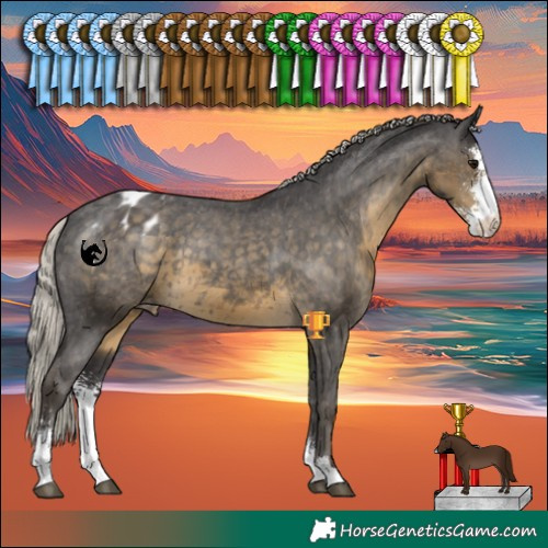 Horse Color:Silver Smoky Black Sabino Blanket 