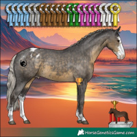 Horse Color:Silver Smoky Black Sabino Blanket 