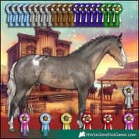 Horse Color:Silver Smoky Black Sabino Appaloosa 