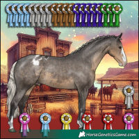 Horse Color:Silver Smoky Black Sabino Appaloosa 